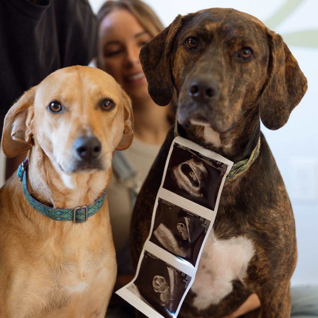 Photo shared by Claire for their Babylist baby registry.