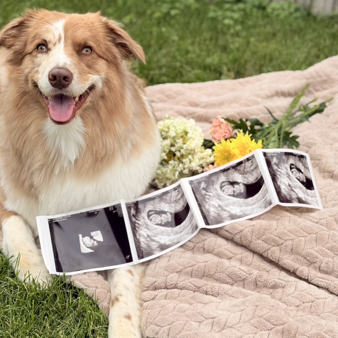 Photo shared by Delaney for their Babylist baby registry.