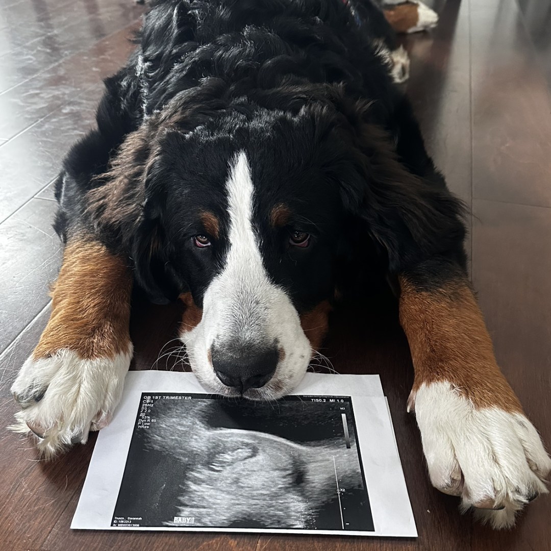 Photo shared by Savannah for their Babylist baby registry.