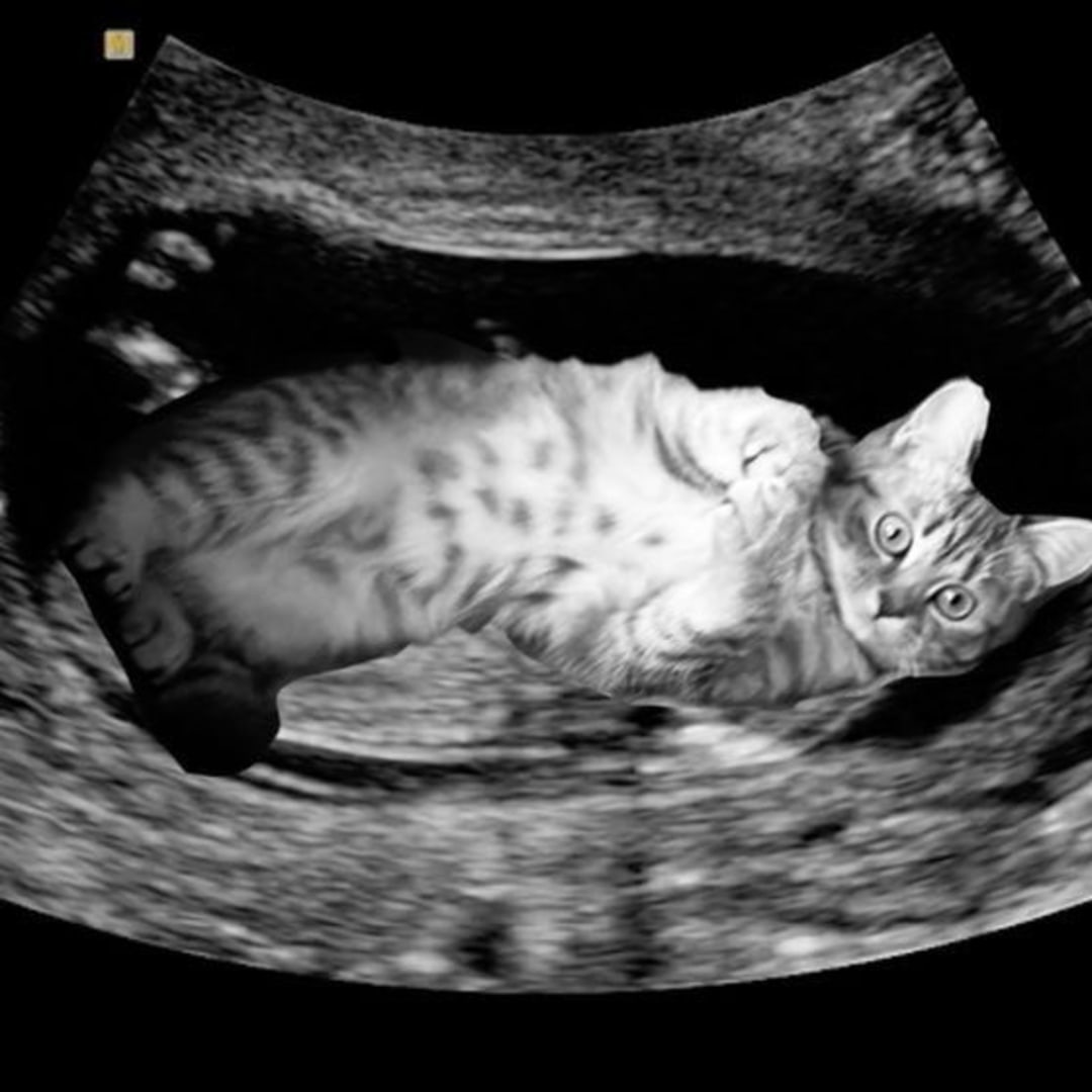 Photo shared by Yarithza for their Babylist baby registry.