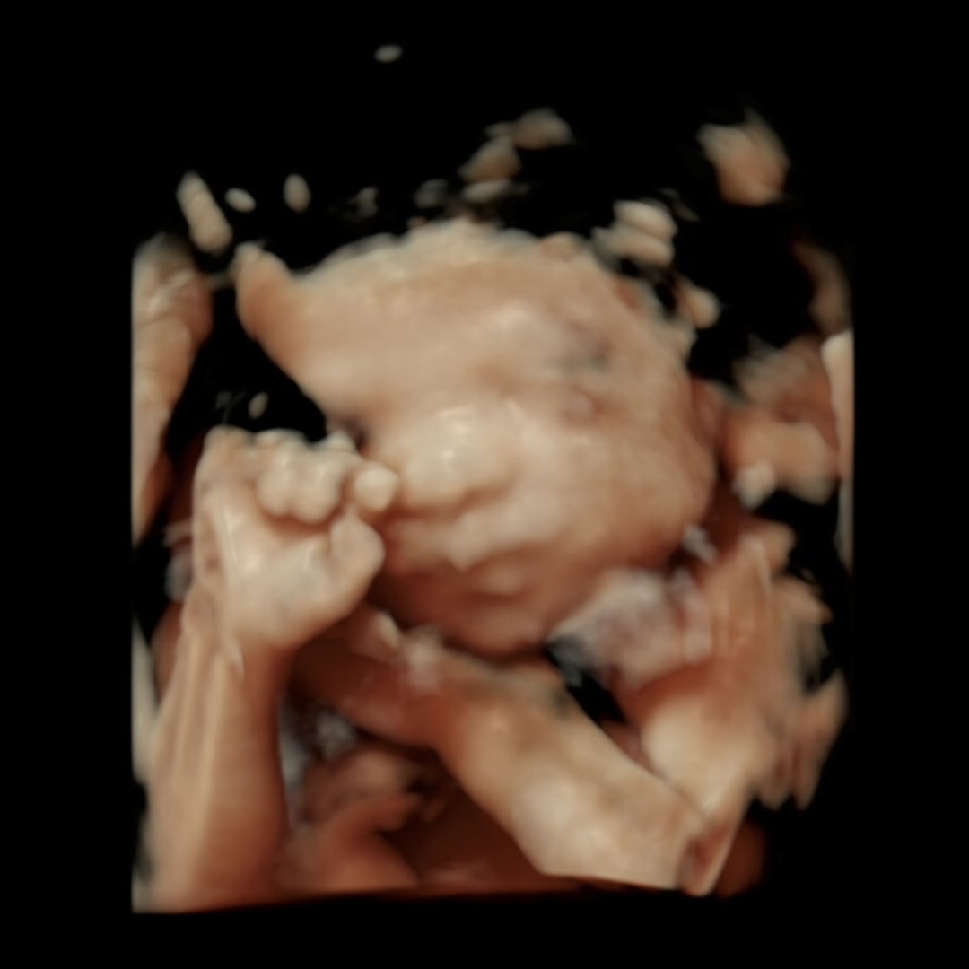 Photo shared by Ashley for their Babylist baby registry.