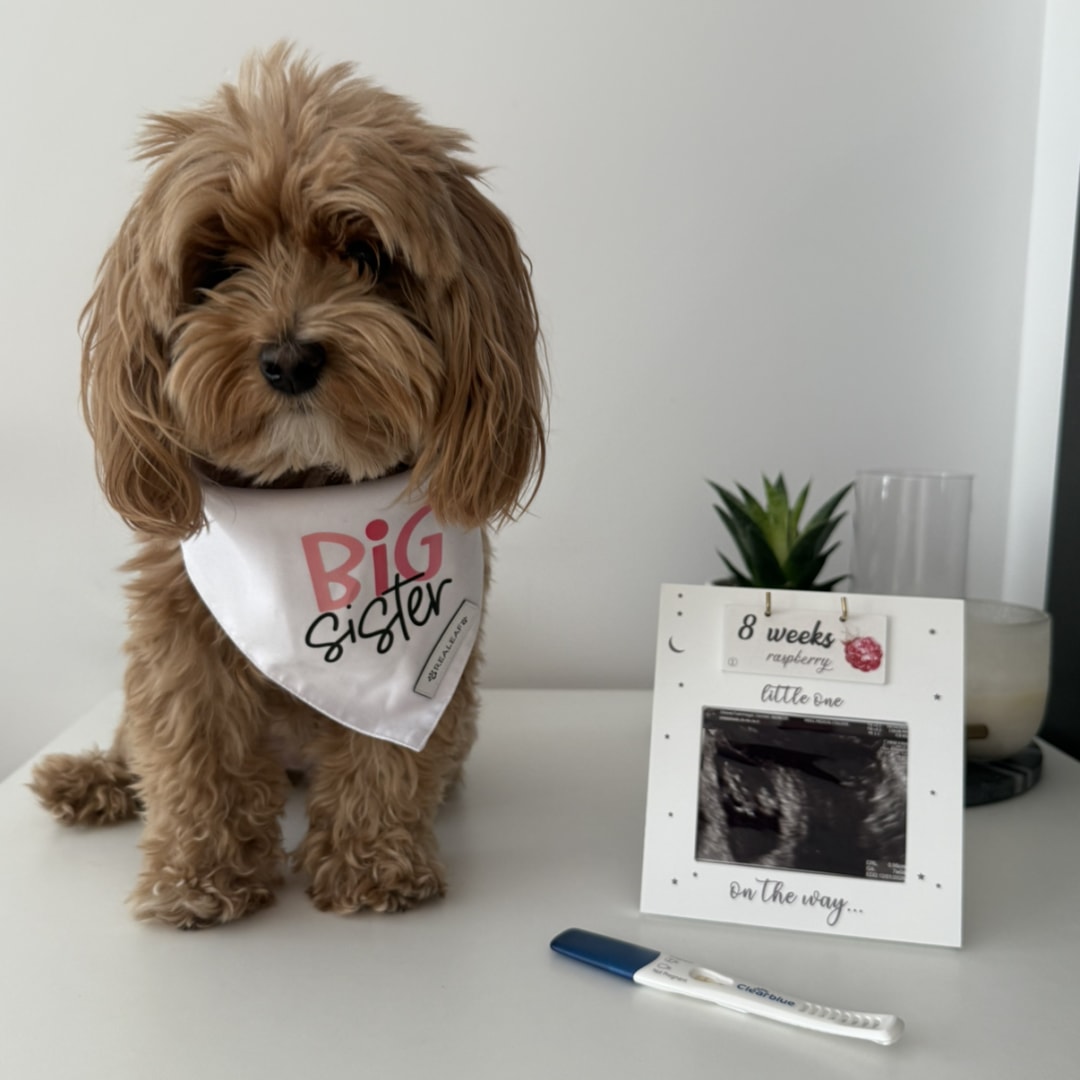 Photo shared by Carmen for their Babylist baby registry.