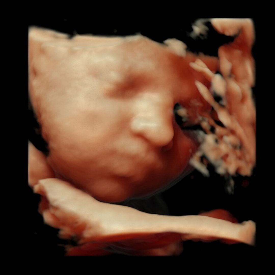Photo shared by Claudia for their Babylist baby registry.