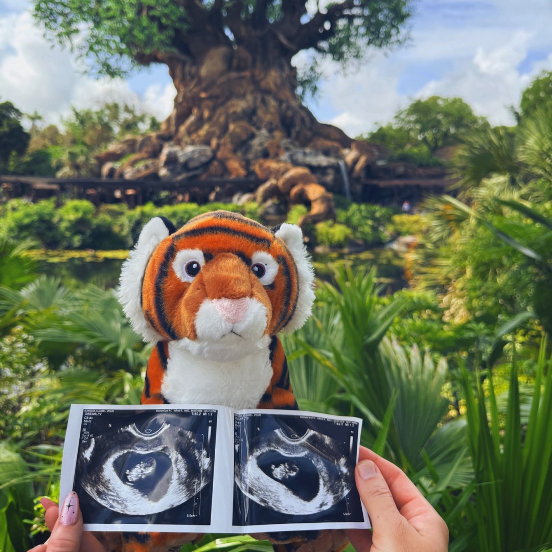Photo shared by Corban for their Babylist baby registry.