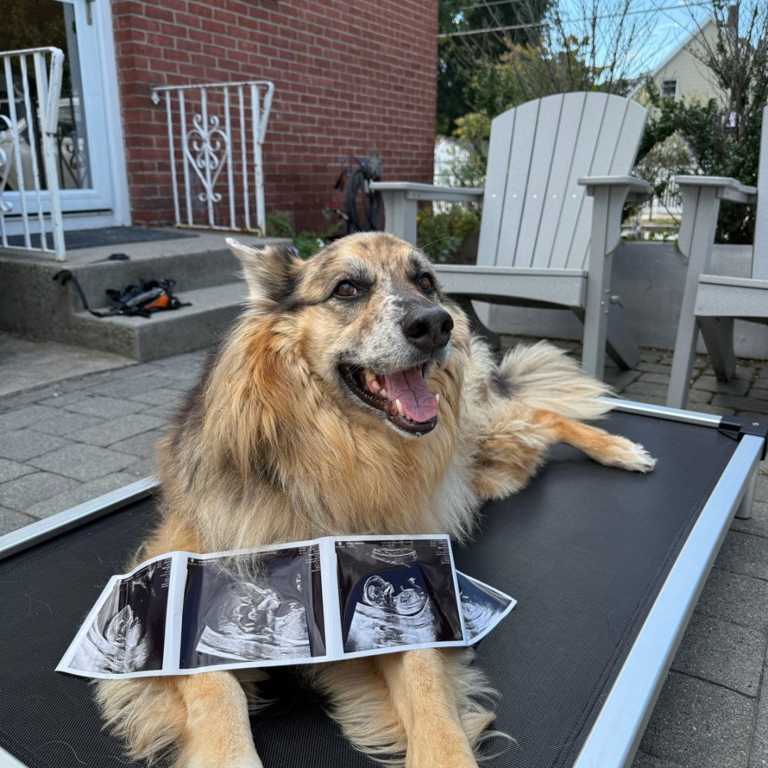 Photo shared by Rebecca for their Babylist baby registry.