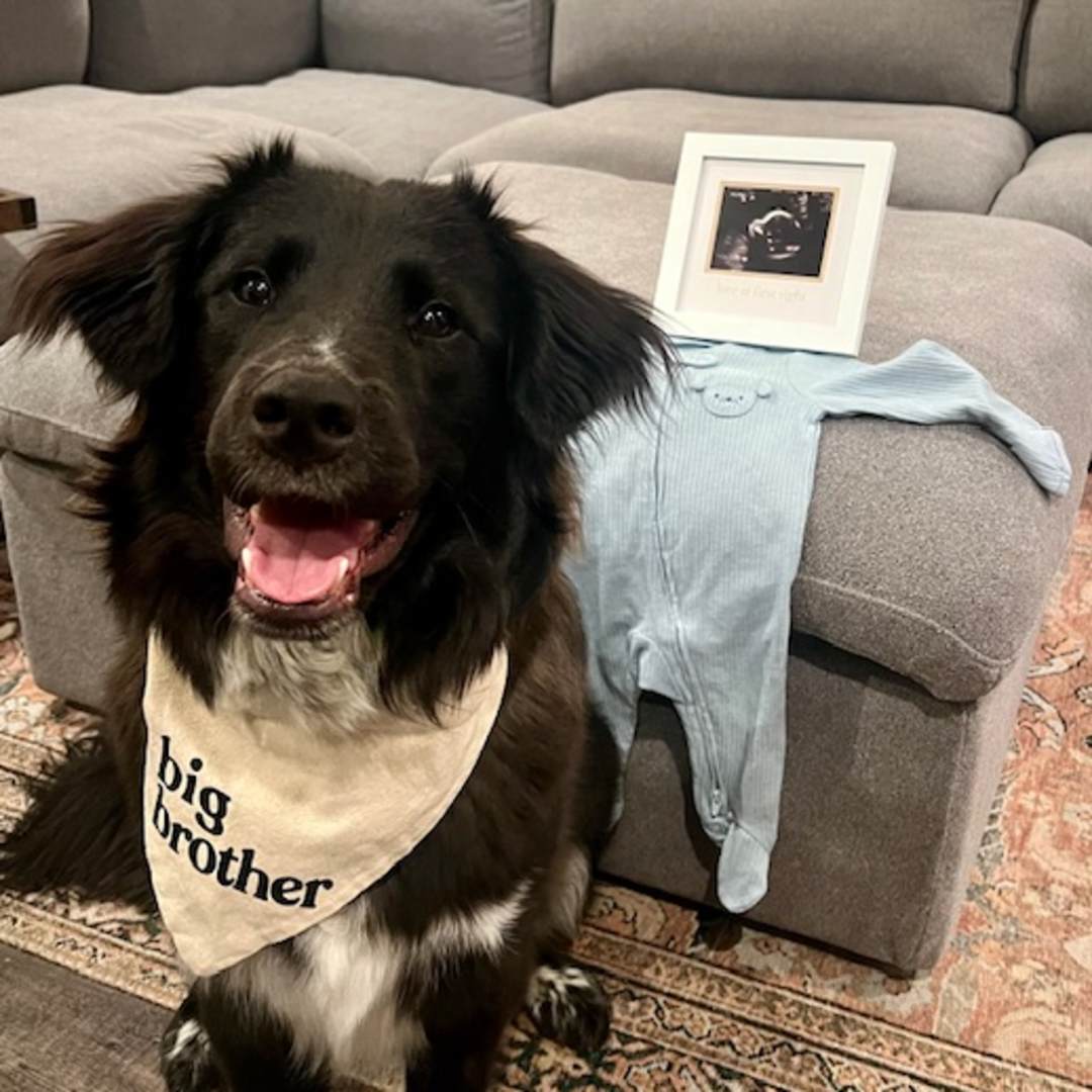 Photo shared by Olivia for their Babylist baby registry.