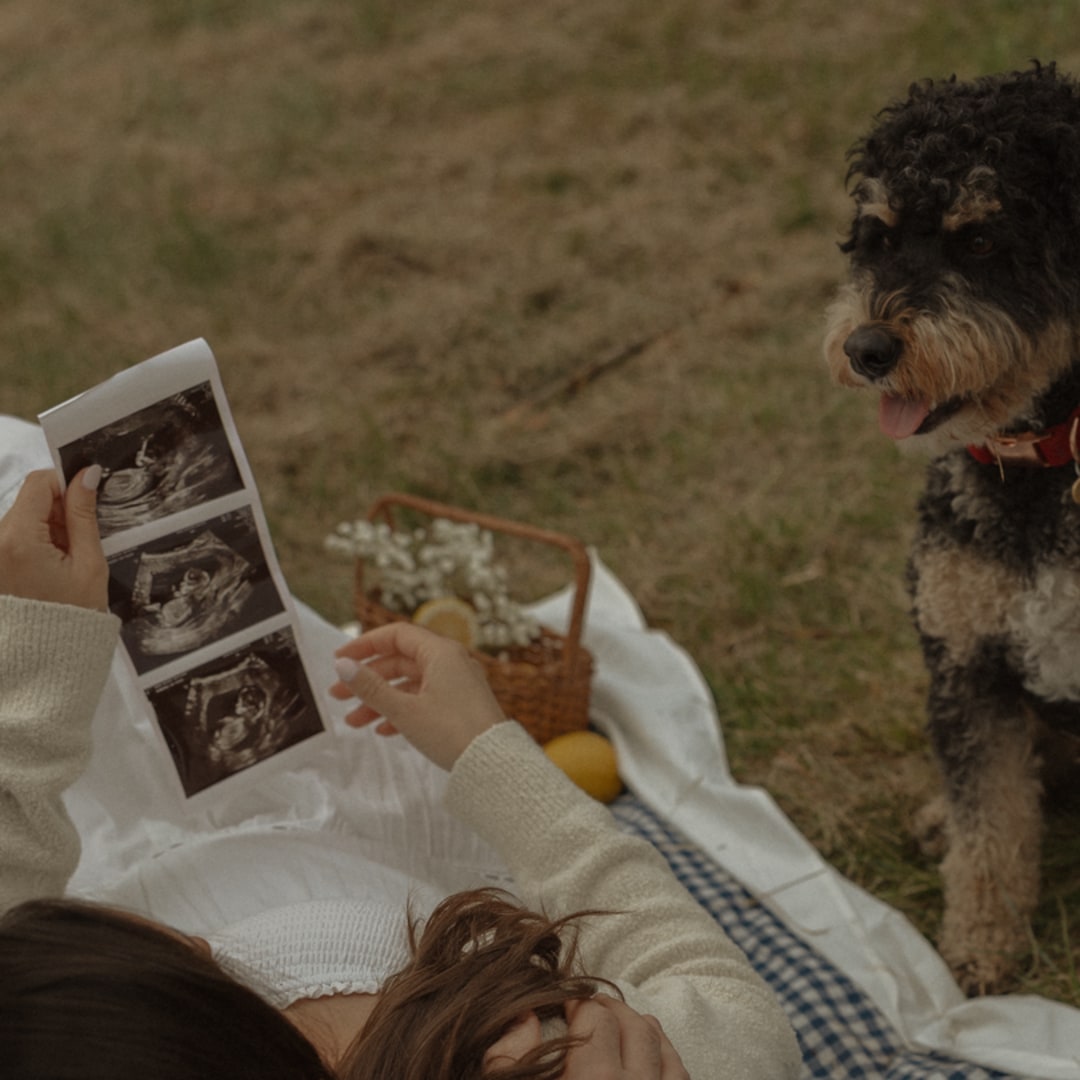 Photo shared by Megan for their Babylist baby registry.