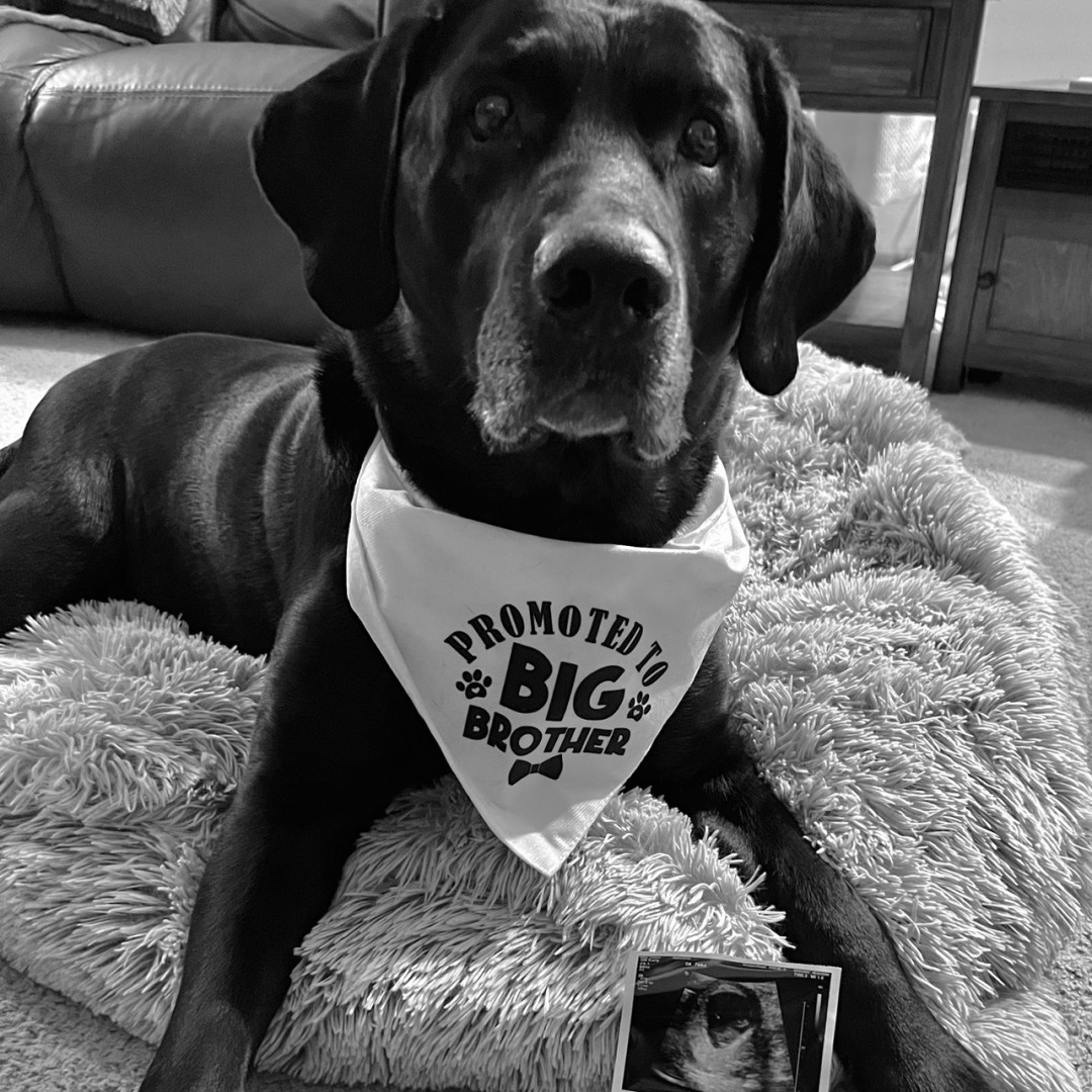 Photo shared by Lindsey for their Babylist baby registry.