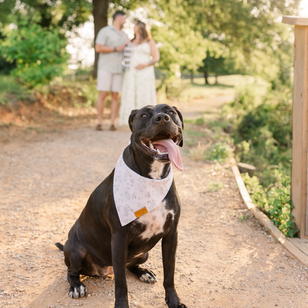 Photo shared by Katelyn for their Babylist baby registry.
