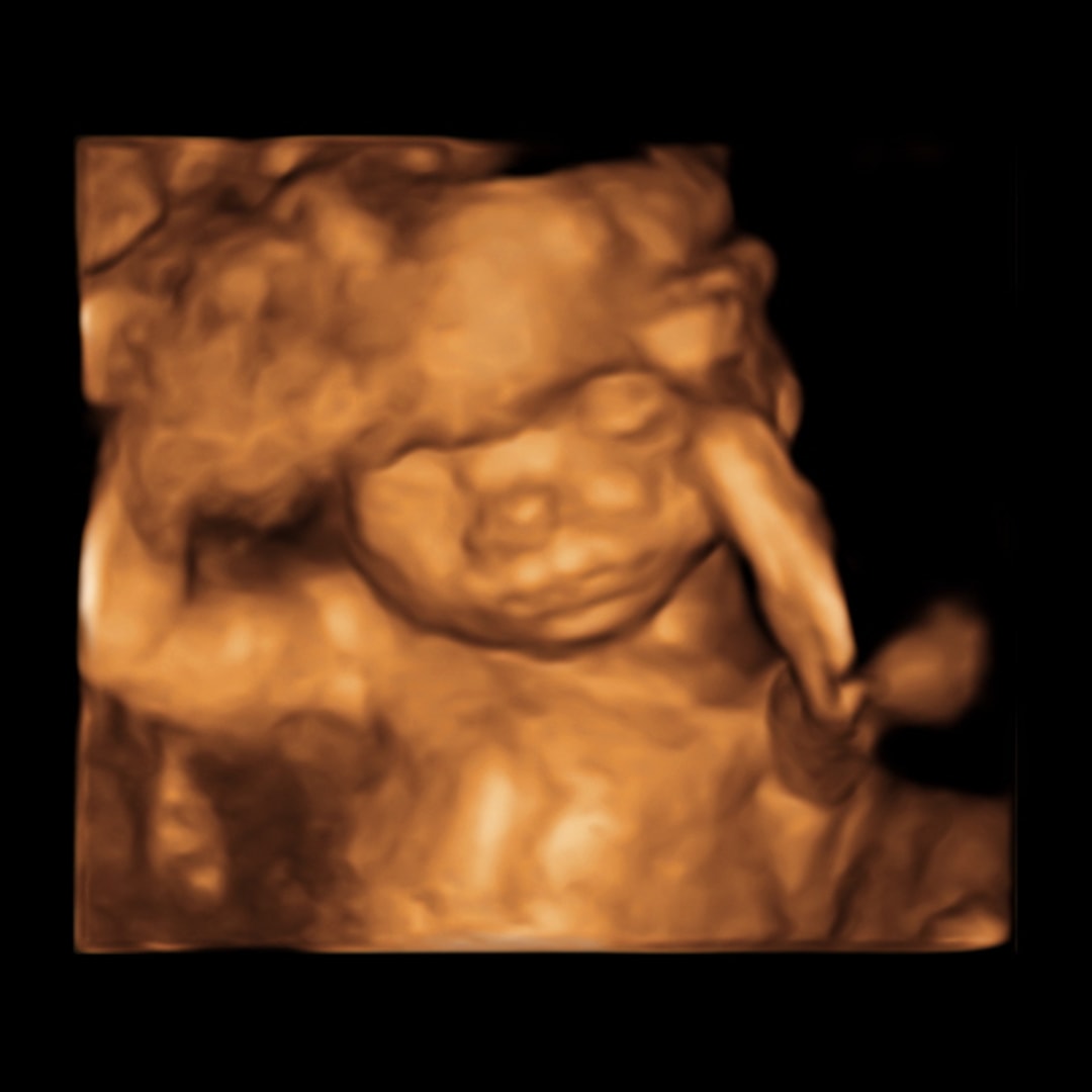 Savannah and Carlos Marcano’s Baby Registry at Babylist