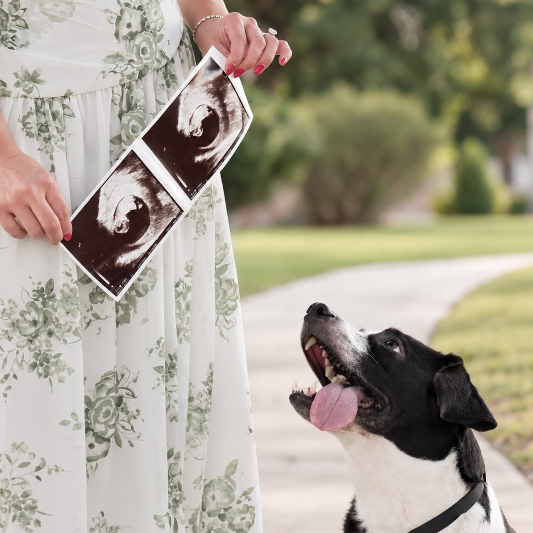 Photo shared by Anna for their Babylist baby registry.