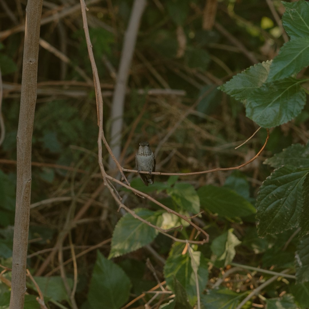 Photo shared by Kayla for their Babylist baby registry.