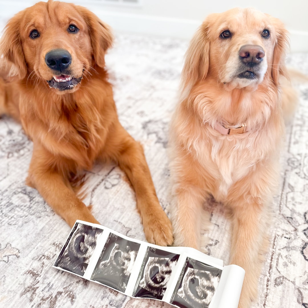 Photo shared by Jessica for their Babylist baby registry.