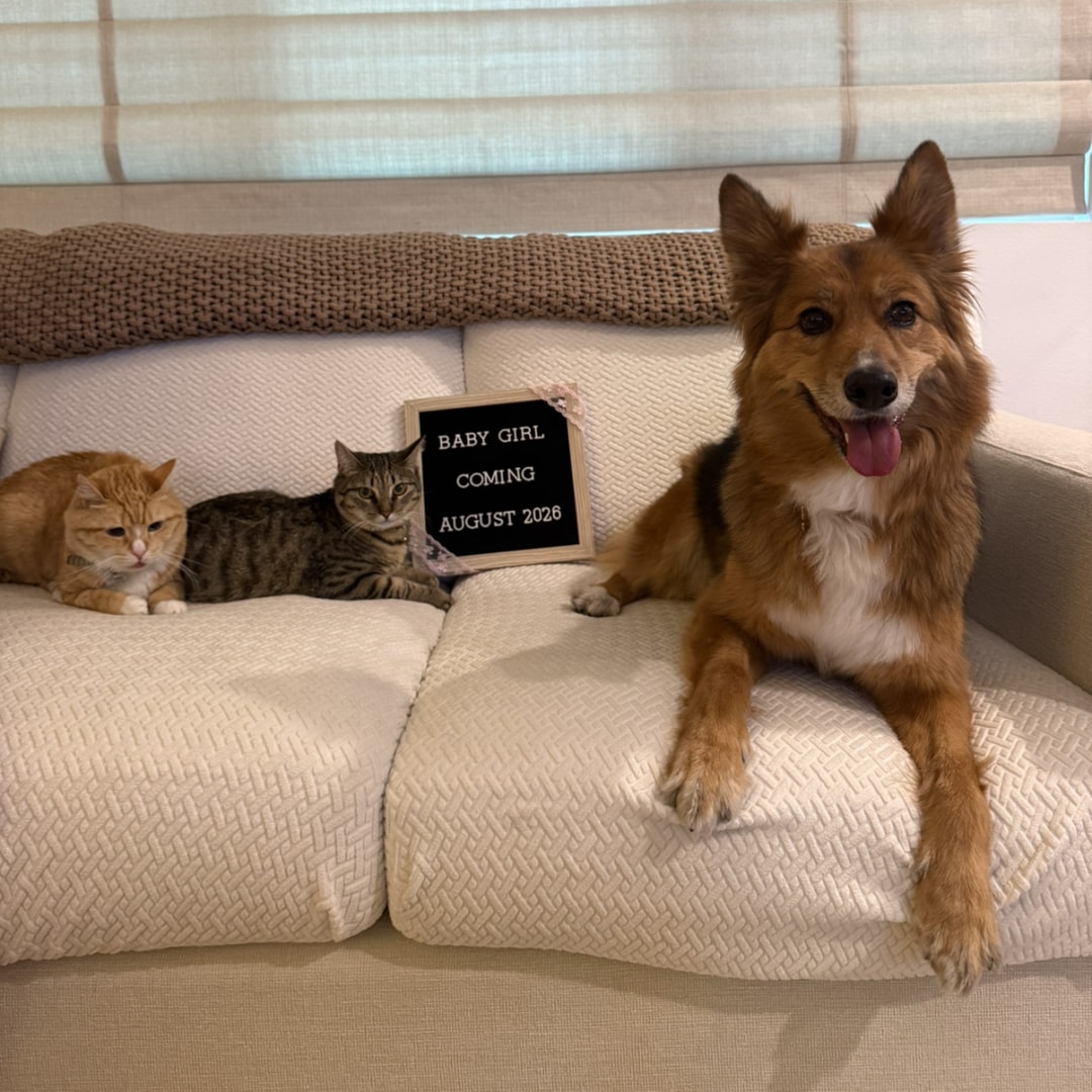 Photo shared by Elaine for their Babylist baby registry.