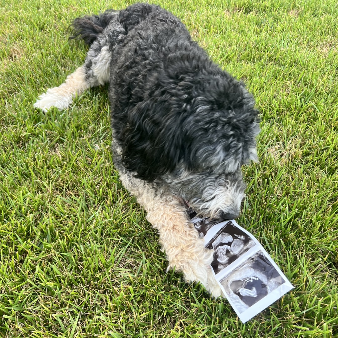 Photo shared by Addy for their Babylist baby registry.