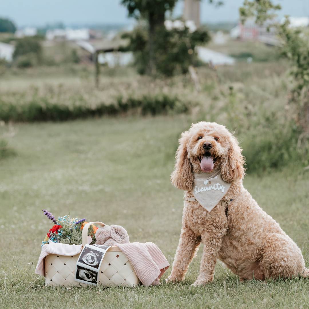 Photo shared by Alyssa for their Babylist baby registry.