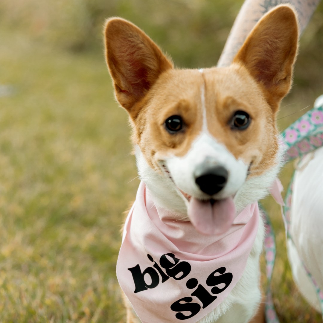 Photo shared by Lauren for their Babylist baby registry.