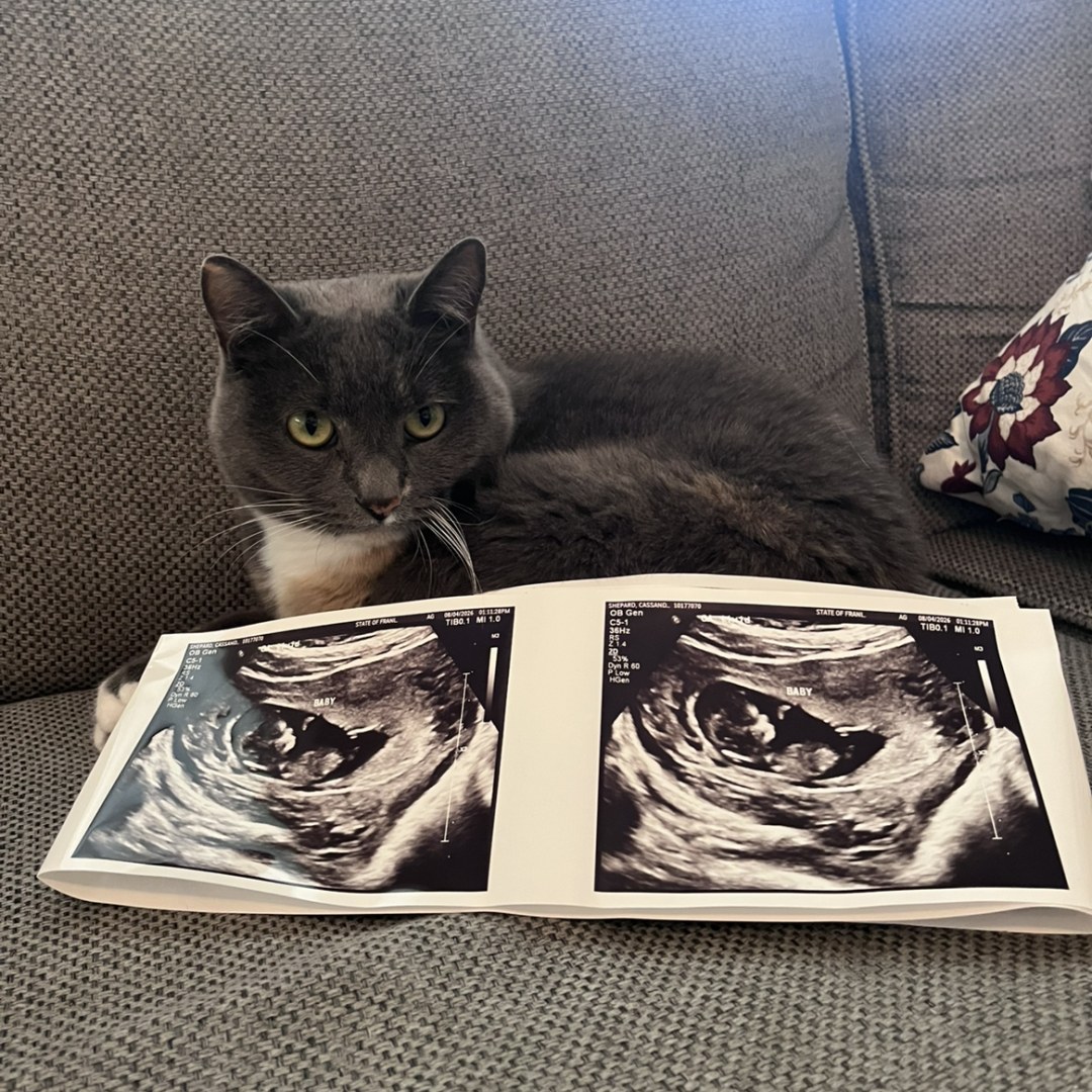 Photo shared by Casey for their Babylist baby registry.