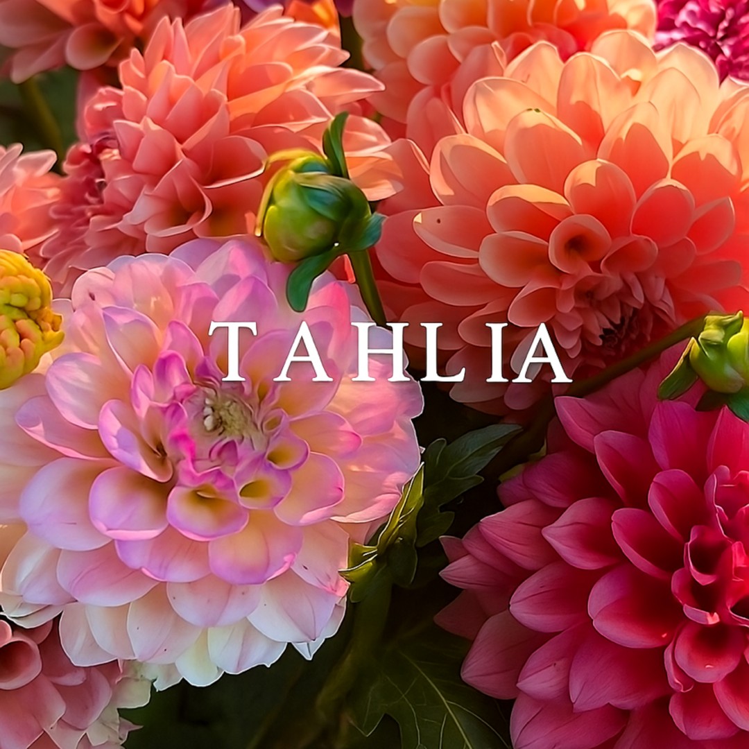 Photo shared by Terri for their Babylist baby registry.