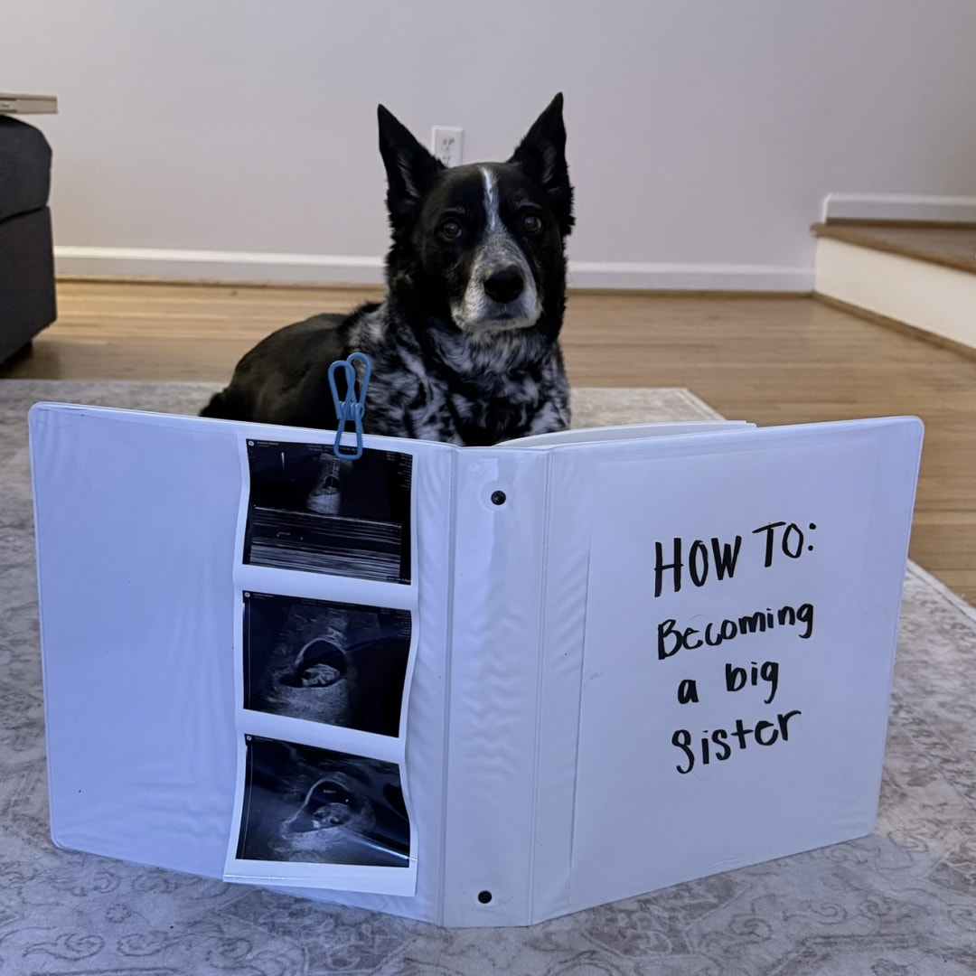 Photo shared by Molly for their Babylist baby registry.