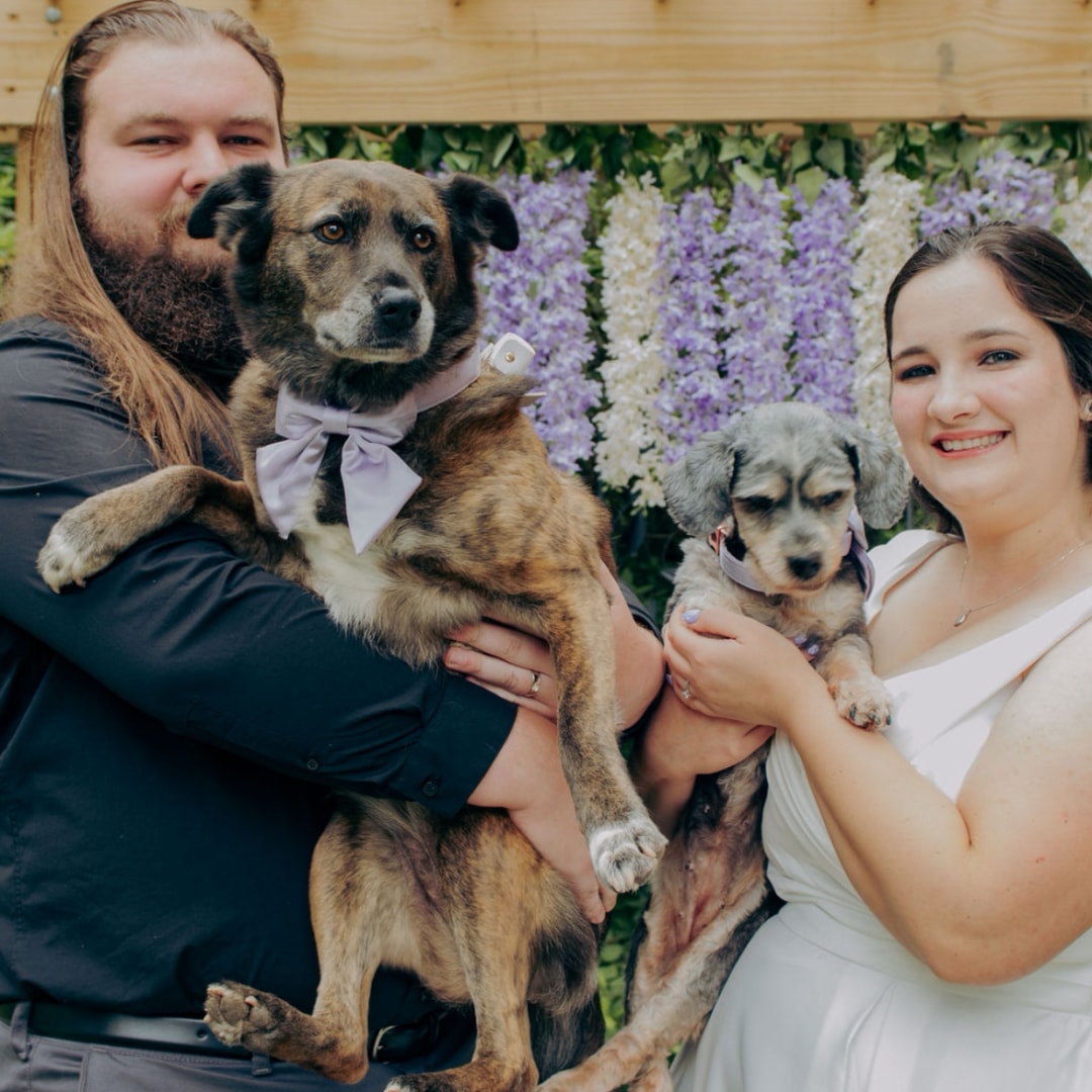 Photo shared by Lauren for their Babylist baby registry.