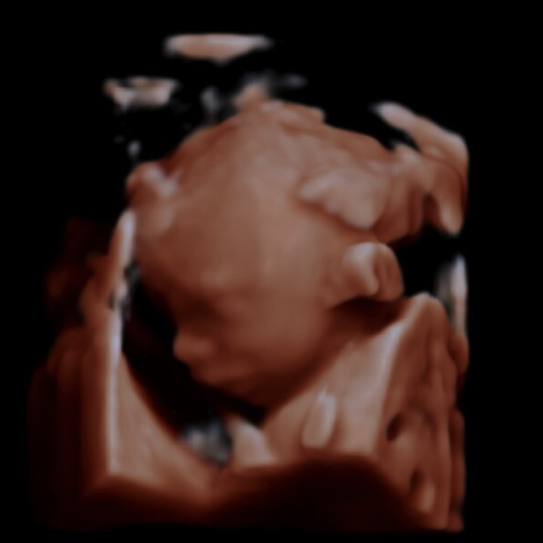 Photo shared by Daniel for their Babylist baby registry.
