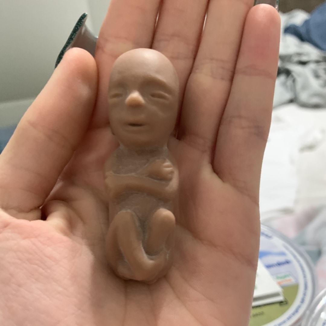 Photo shared by Evelyn for their Babylist baby registry.