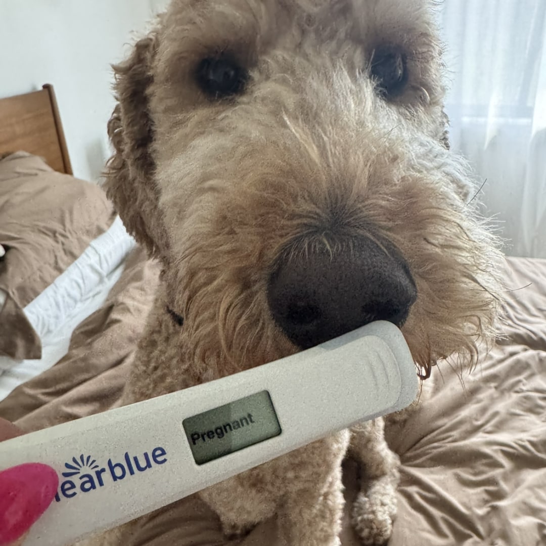 Photo shared by Emily for their Babylist baby registry.