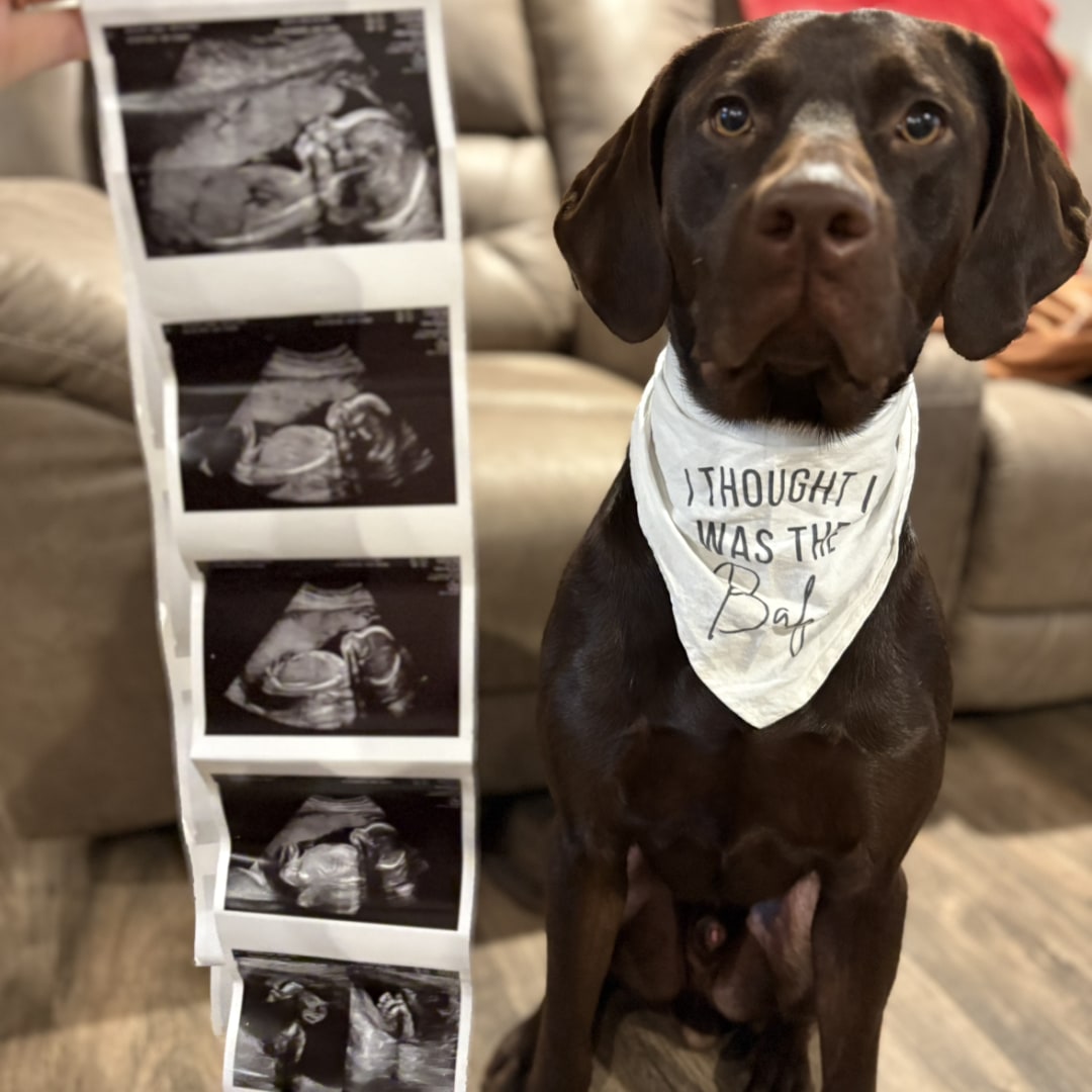 Photo shared by Aggie for their Babylist baby registry.