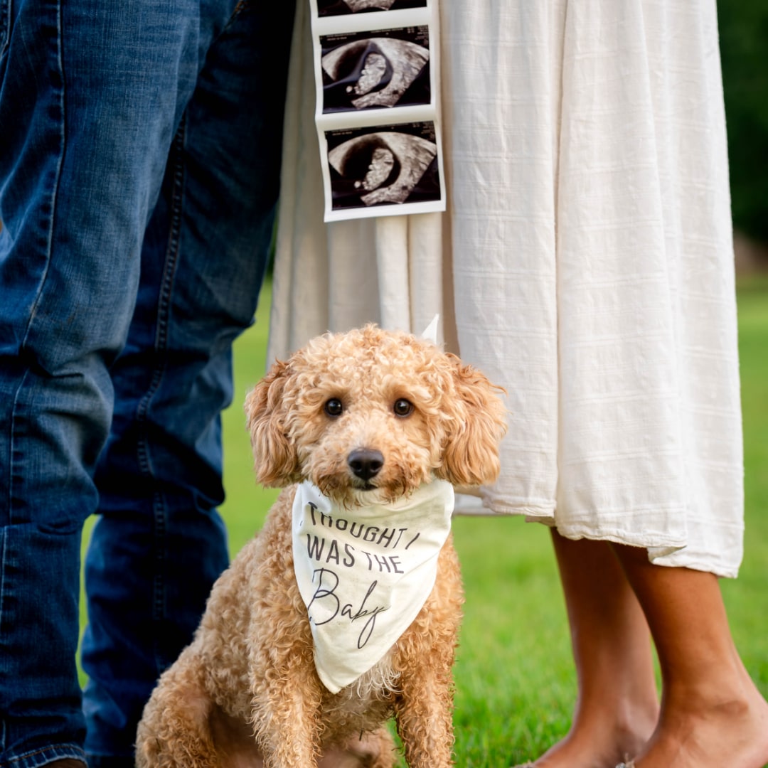 Photo shared by Blair for their Babylist baby registry.
