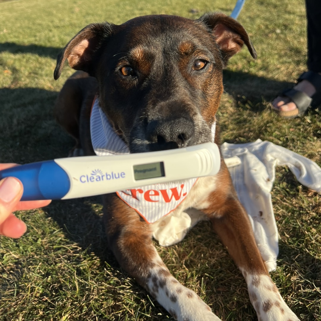 Photo shared by Natalie for their Babylist baby registry.