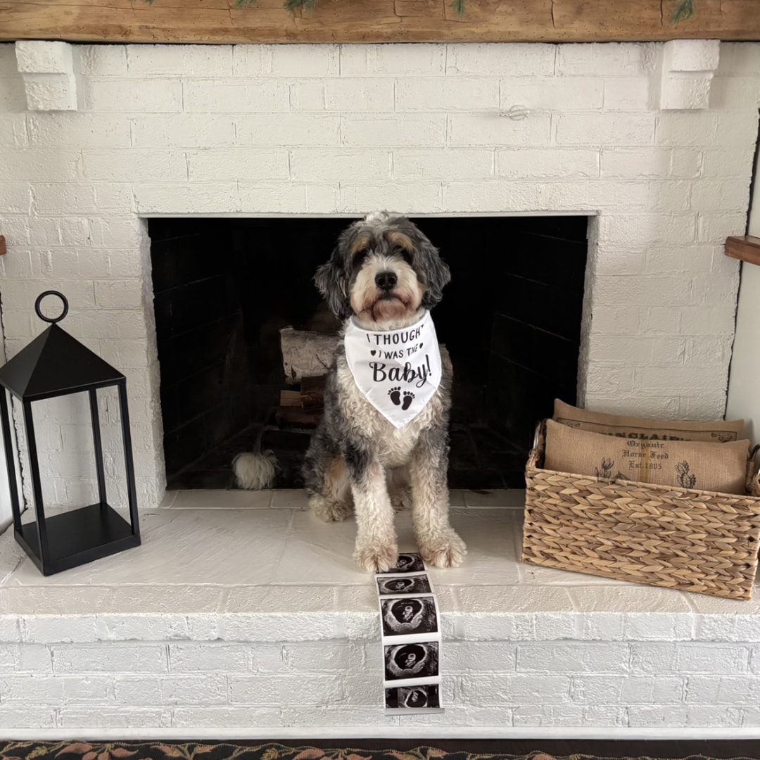 Photo shared by Melissa for their Babylist baby registry.