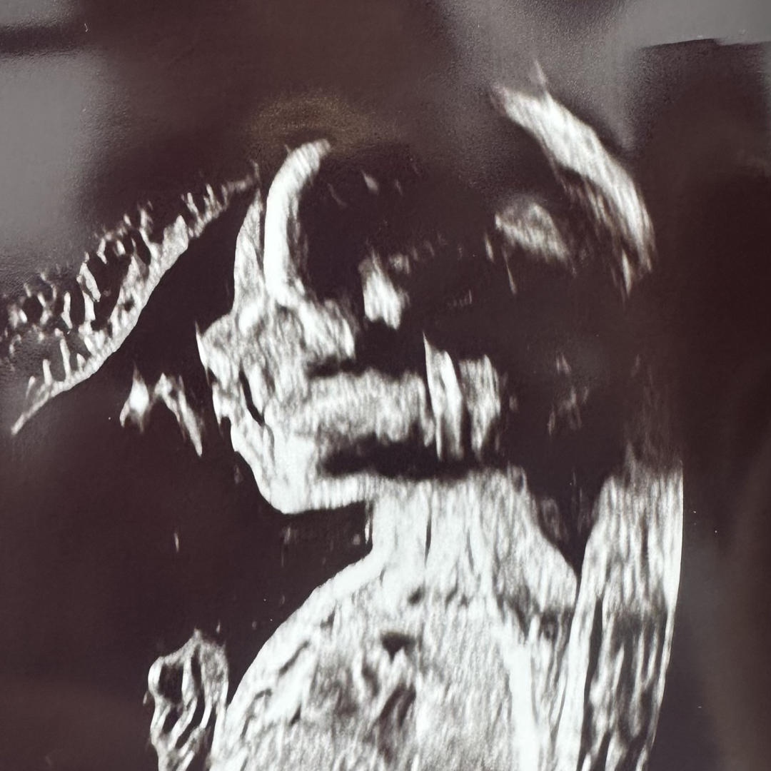 Photo shared by Vanessa for their Babylist baby registry.