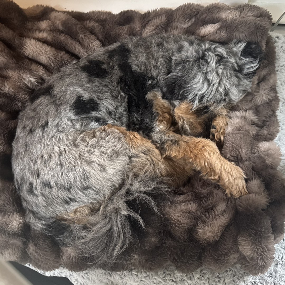 Photo shared by Sara for their Babylist baby registry.