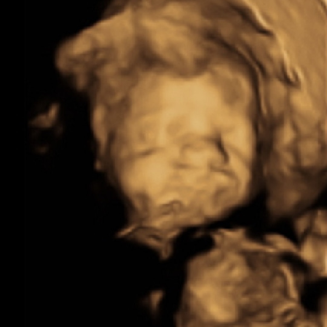 Photo shared by Emily for their Babylist baby registry.