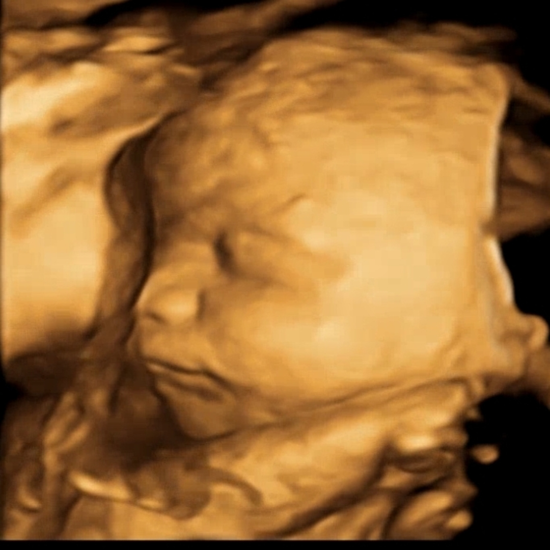 Photo shared by Kimberly for their Babylist baby registry.