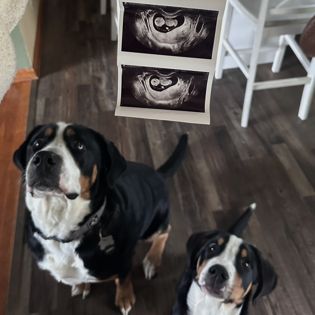 Photo shared by Liz for their Babylist baby registry.