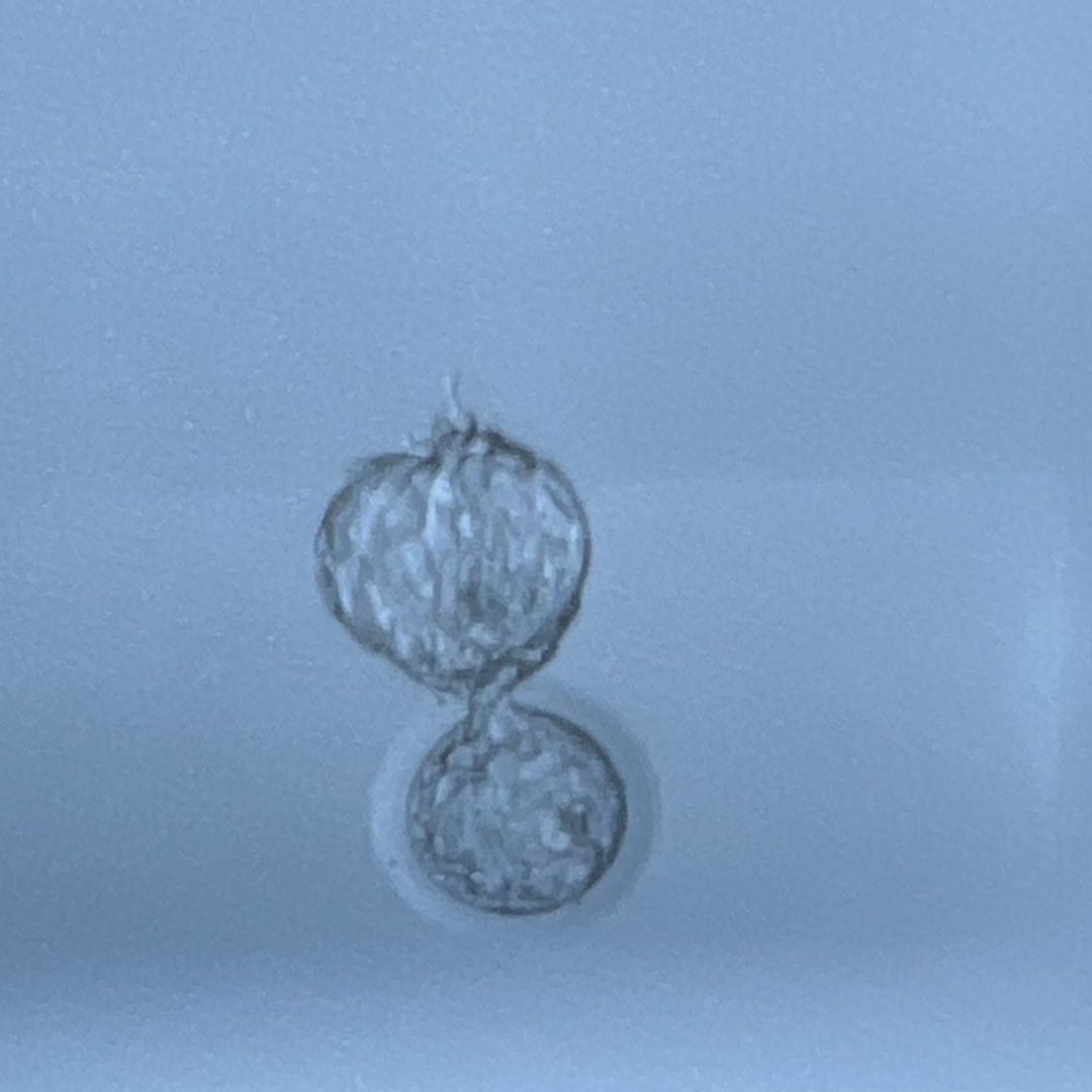 Photo shared by Cassandra for their Babylist baby registry.