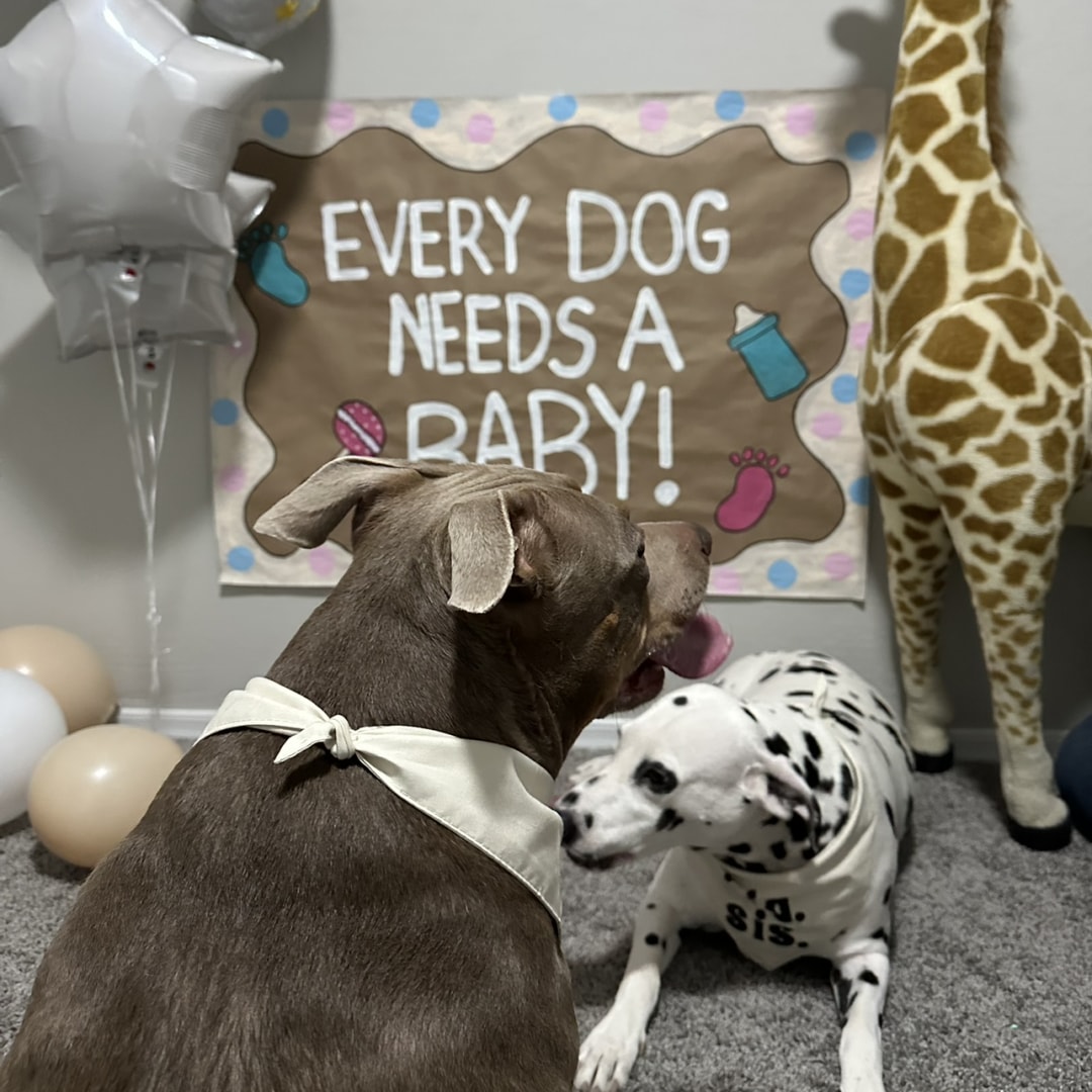 Photo shared by Maria for their Babylist baby registry.