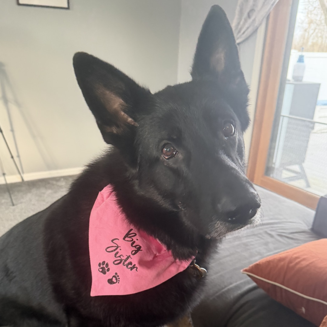 Photo shared by Abby for their Babylist baby registry.