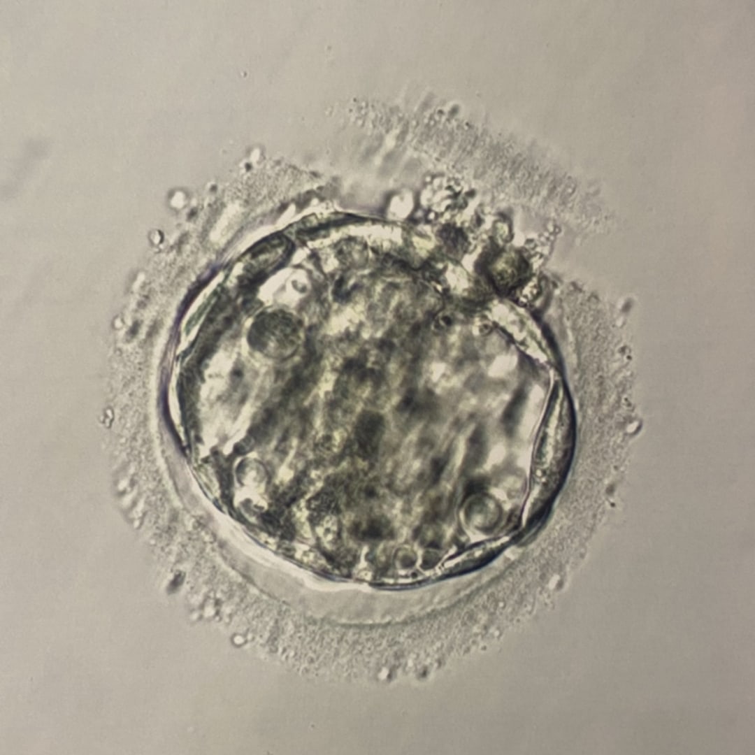 Photo shared by Ingrid for their Babylist baby registry.