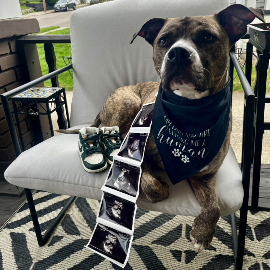 Photo shared by Sierra for their Babylist baby registry.