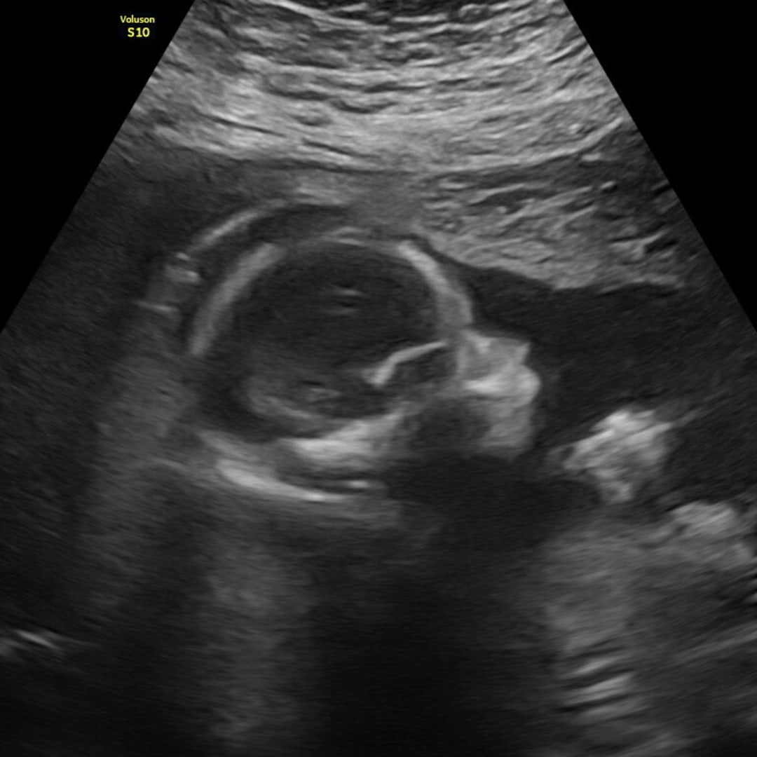 Photo shared by Faith for their Babylist baby registry.
