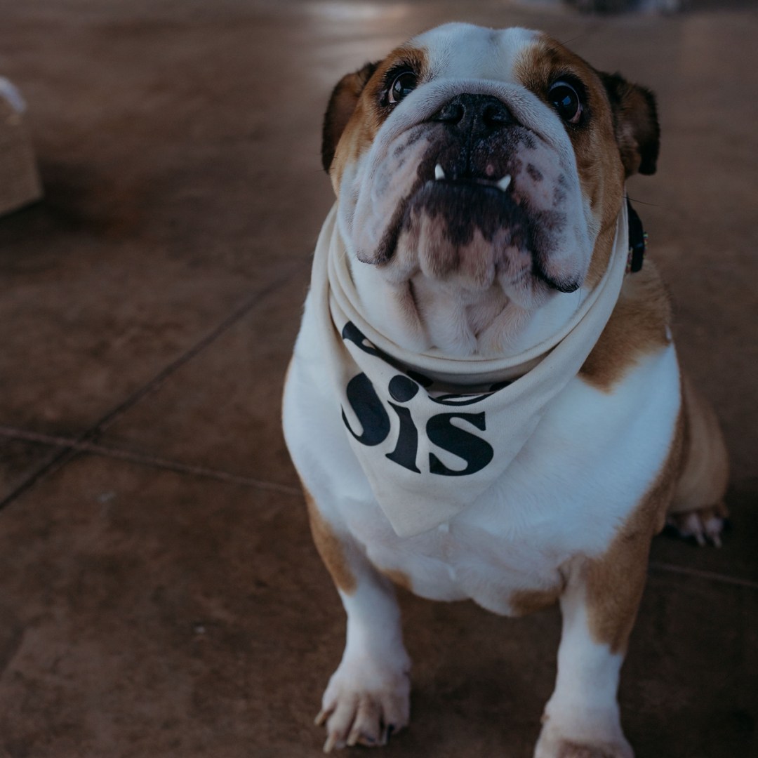 Photo shared by Brandie for their Babylist baby registry.