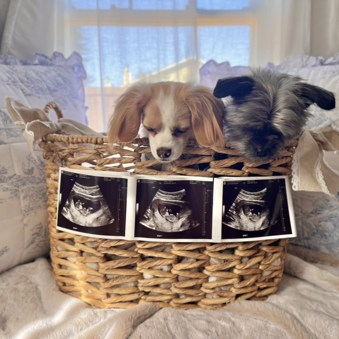 Photo shared by Teresa for their Babylist baby registry.