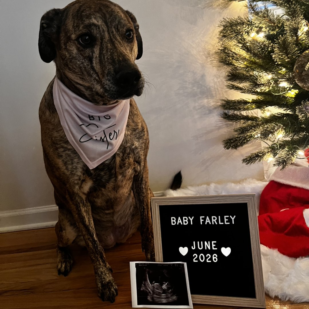 Photo shared by Shelby for their Babylist baby registry.