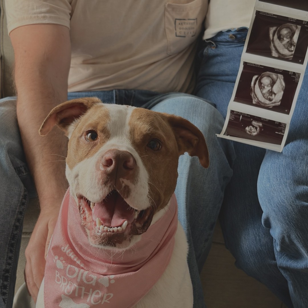 Photo shared by Carslyn for their Babylist baby registry.