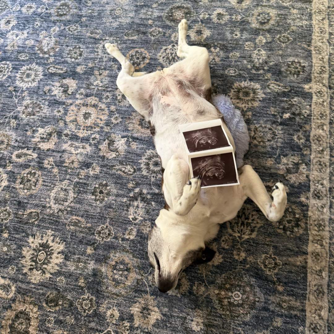 Photo shared by Courtney for their Babylist baby registry.