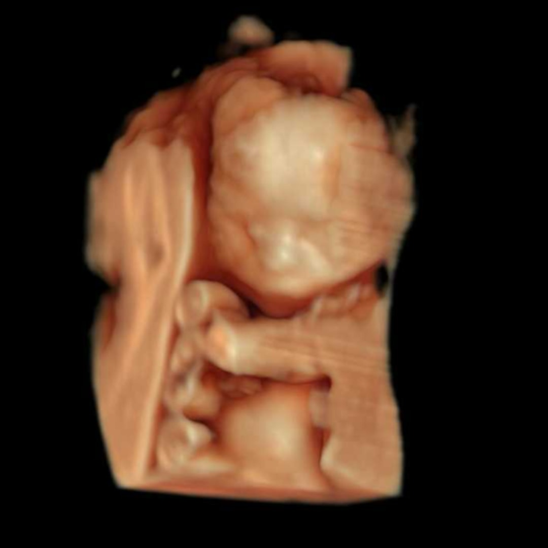 Photo shared by Quetzali for their Babylist baby registry.