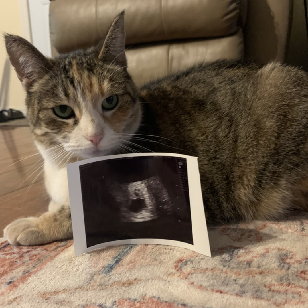 Photo shared by Autumn for their Babylist baby registry.